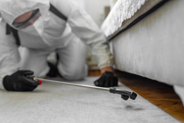Professional Termite Control technician working in Goddard, KS