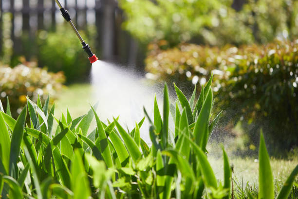 24/7 Emergency Termite Control experts in Goddard, KS