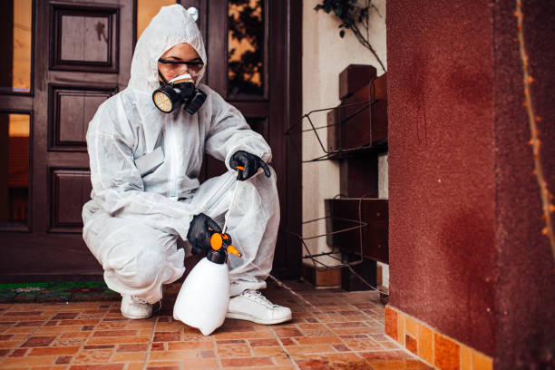 Reliable Termite Control contractor in Goddard, KS by Nex Pest Control