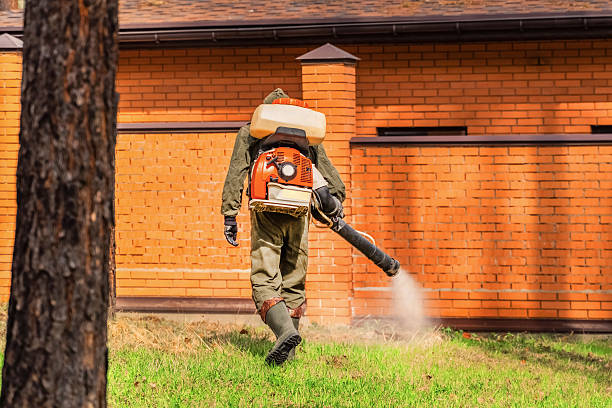 Top rated local Termite Control specialists in Goddard, KS